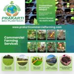 Best Vermicompost Dealers in Udaipur